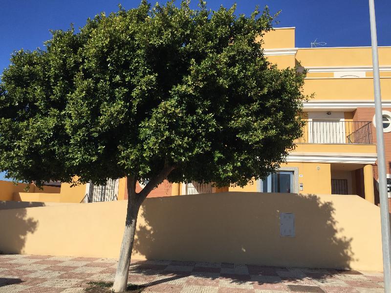 Apartamentos Playamar Roquetas de Mar Ngoại thất bức ảnh